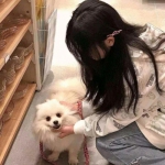 暗月领主手游下载